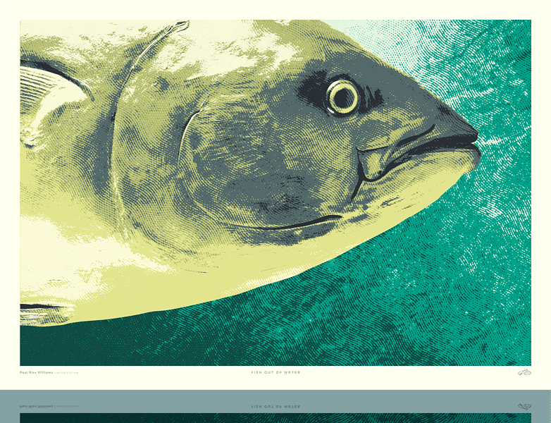 Art print of a close-up tuna fish on a green background.